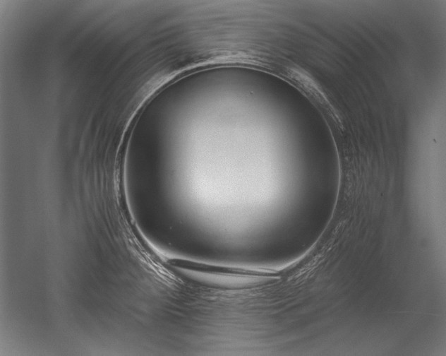 X0000052551284200507081600