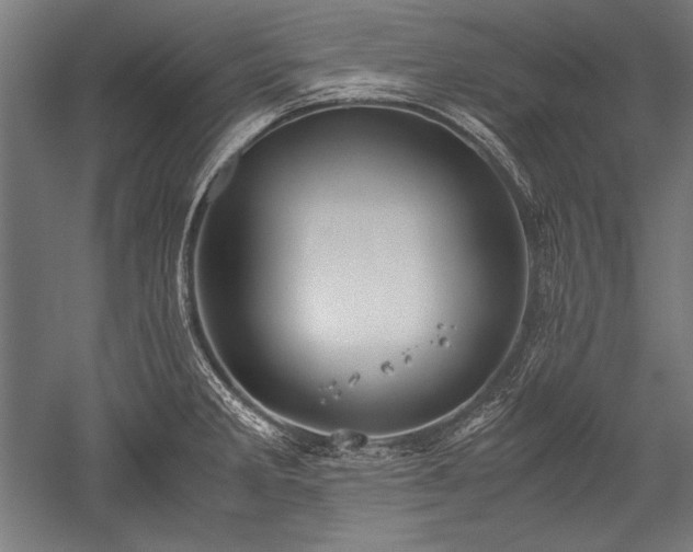 X0000052551285200507081600