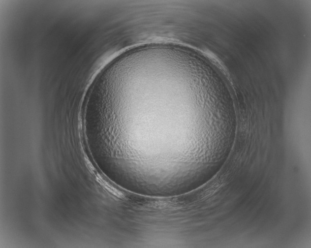 X0000052551287200507081600