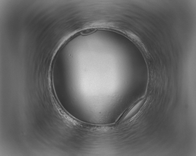 X0000052551288200507081600