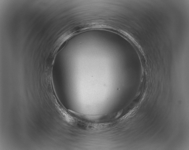 X0000052551289200507081600