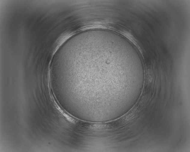 X0000052551290200507081559