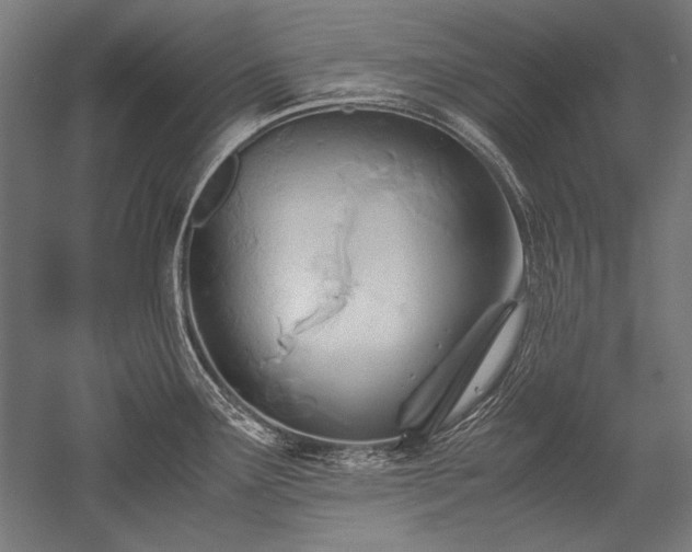 X0000052551291200507081559