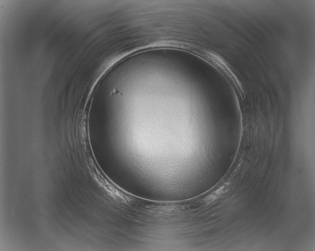 X0000052551292200507081559