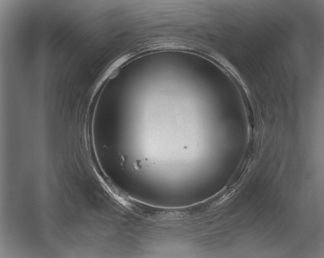 X0000052551293200507081559