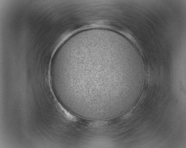 X0000052551294200507081559