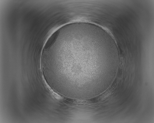 X0000052551295200507081559