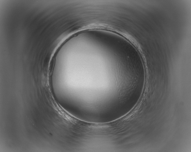 X0000052551296200507081559