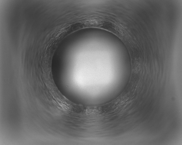 X0000052551297200507081559