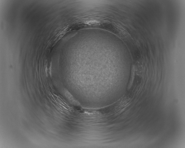 X0000052551298200507081559