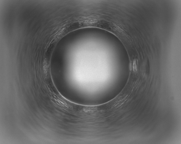 X0000052551299200507081559