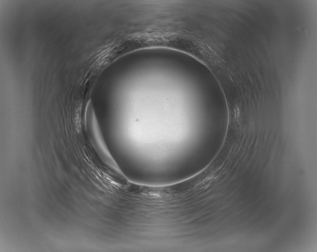 X0000052551300200507081559