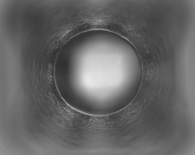 X0000052551301200507081559