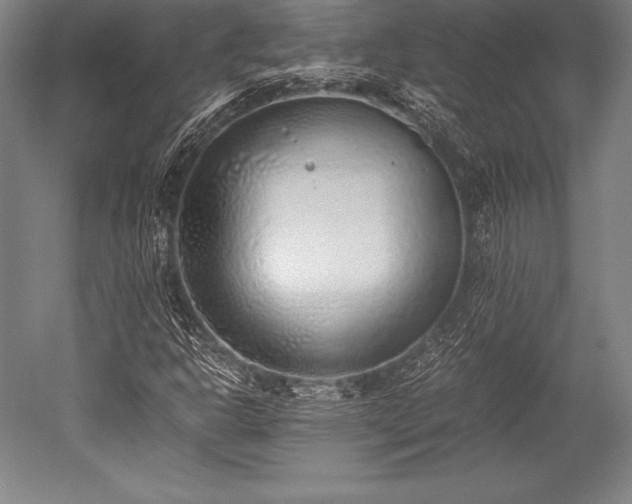 X0000052551302200507081559