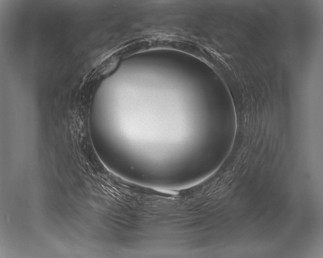 X0000052551303200507081559