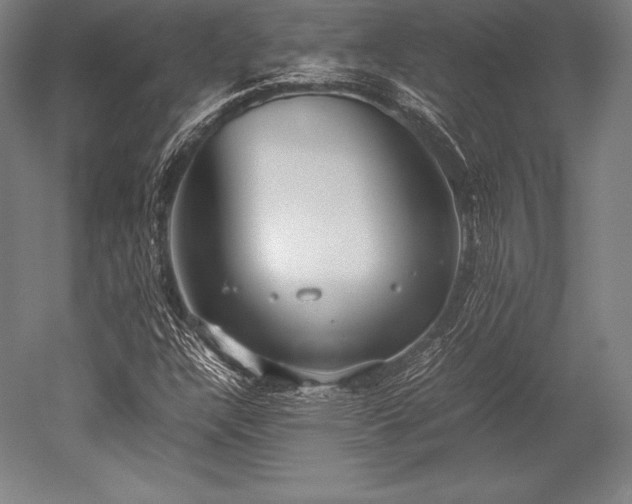 X0000052551304200507081559