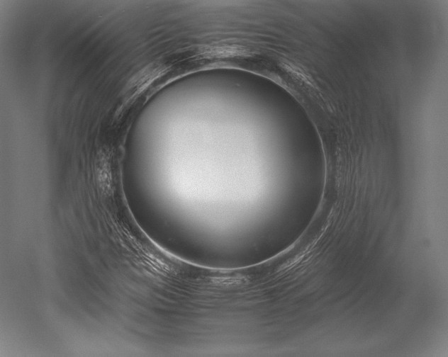 X0000052551305200507081559