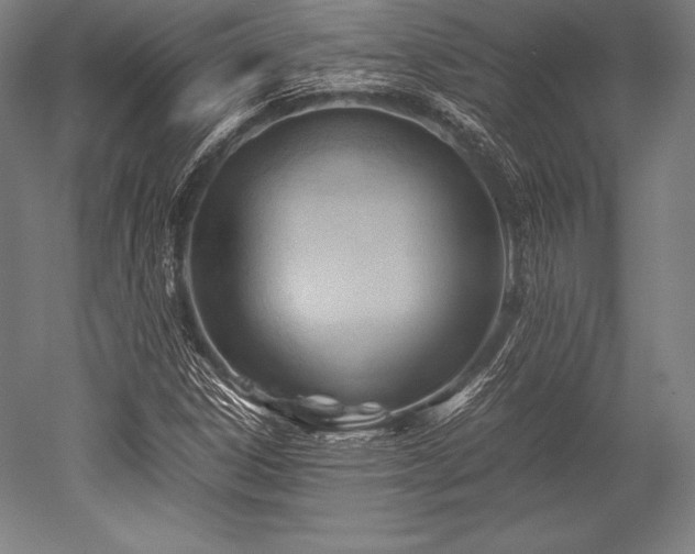 X0000052551306200507081559