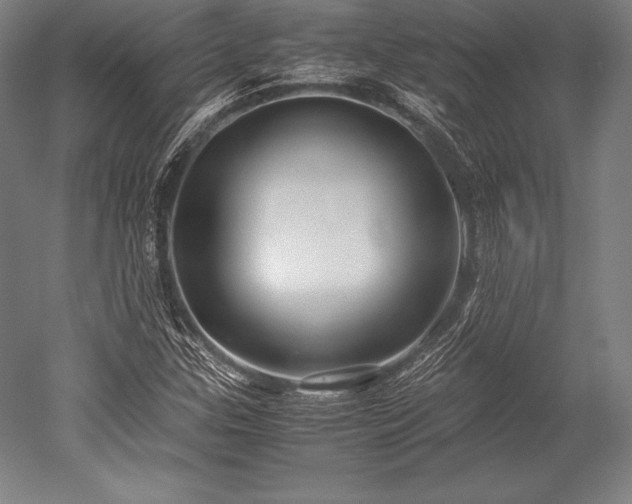 X0000052551307200507081559