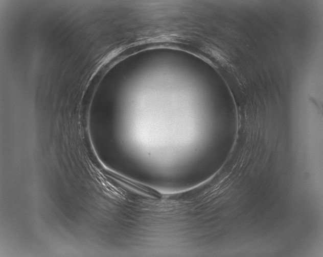 X0000052551308200507081559