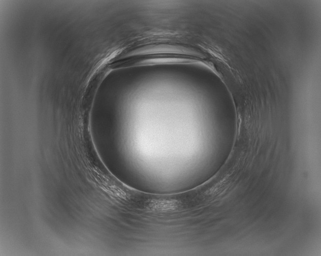 X0000052551309200507081559