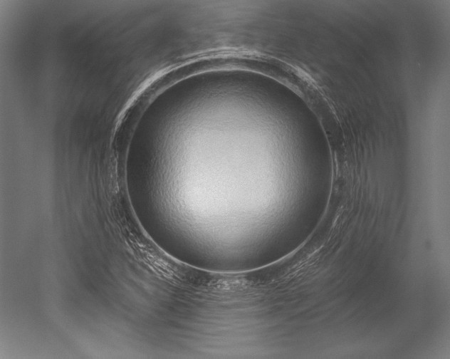 X0000052551310200507081559