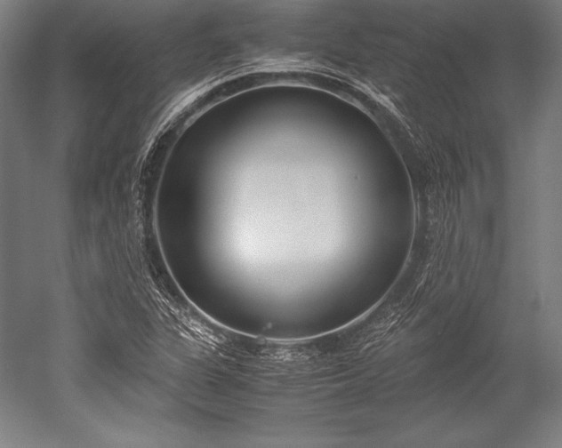 X0000052551311200507081559