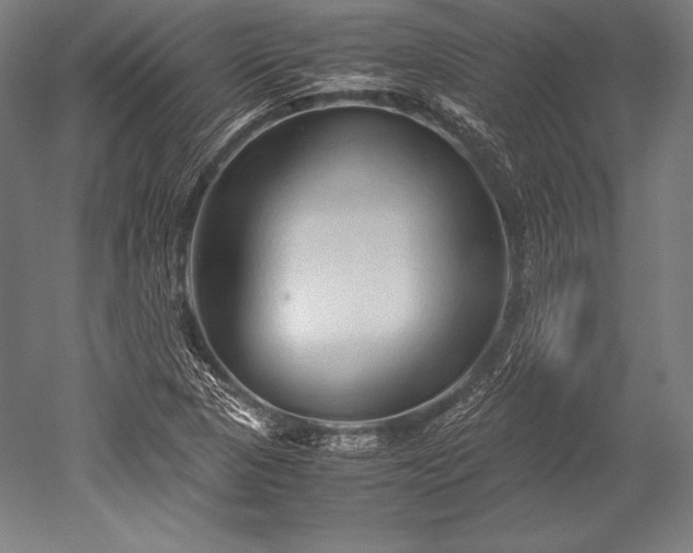 X0000052551313200507081559