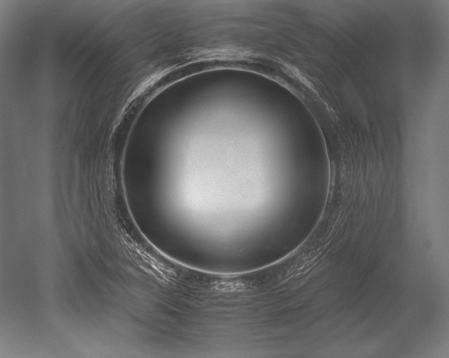 X0000052551315200507081559