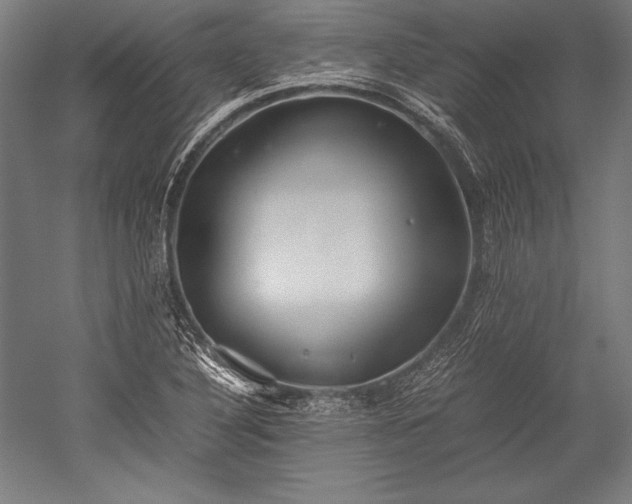 X0000052551316200507081559