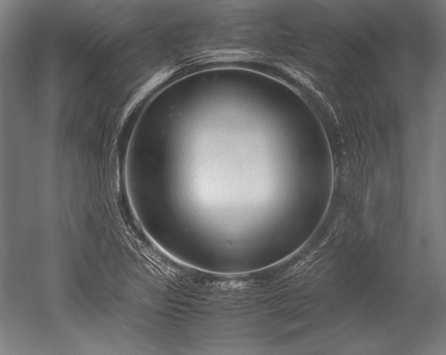 X0000052551317200507081559