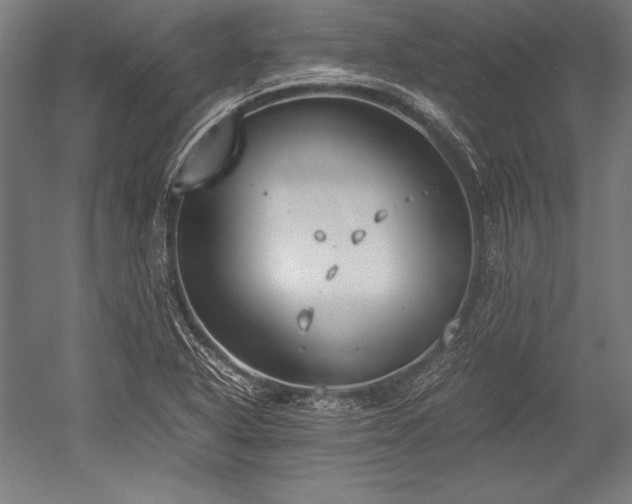 X0000052551318200507081559