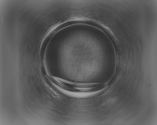 X0000052551319200507081559