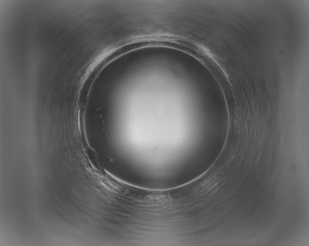 X0000052551320200507081559