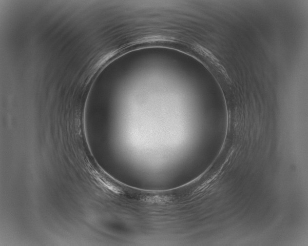 X0000052551321200507081559