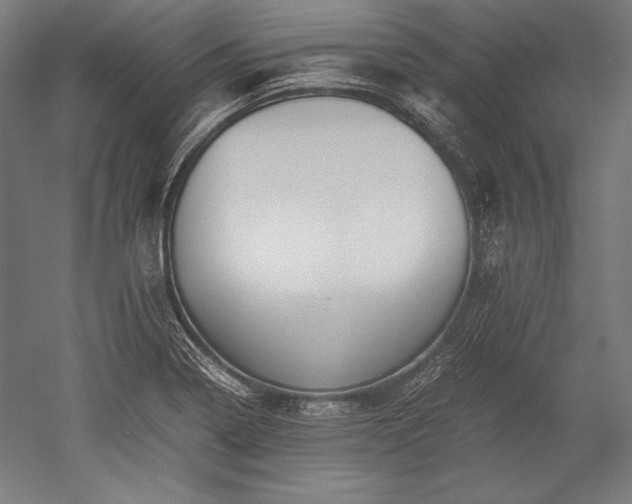 X0000052551322200507081559