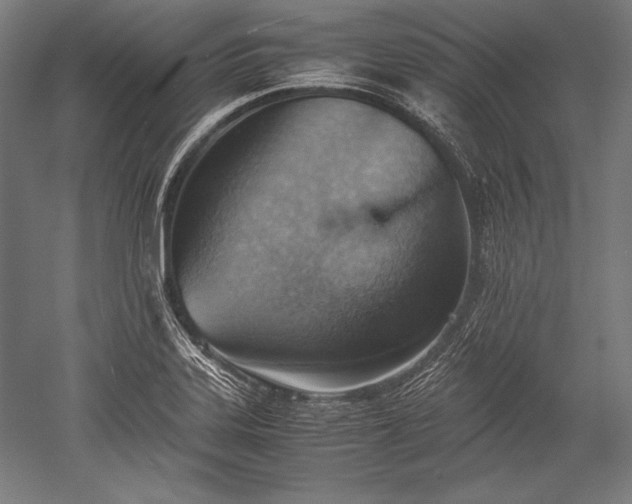 X0000052551323200507081559