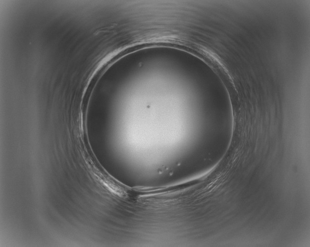 X0000052551324200507081559