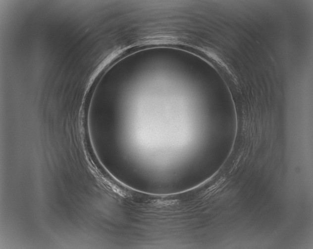 X0000052551325200507081559