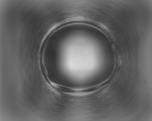 X0000052551326200507081559