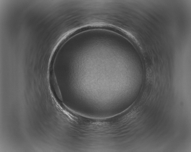 X0000052551327200507081559