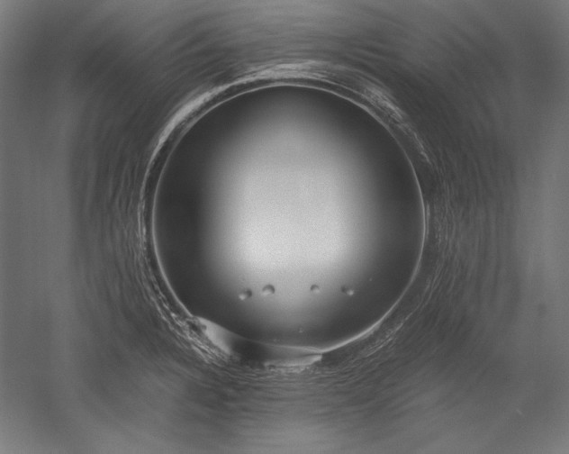 X0000052551328200507081559