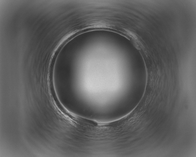 X0000052551331200507081559