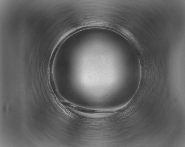 X0000052551332200507081559