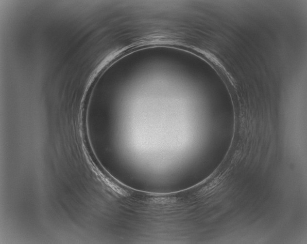 X0000052551333200507081559