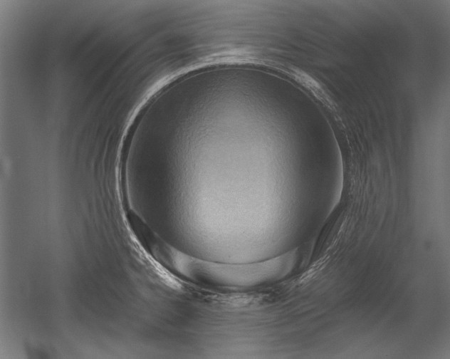 X0000052551334200507081559