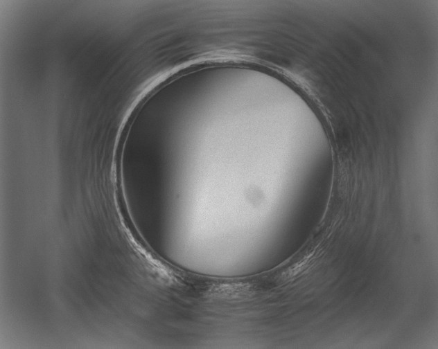 X0000052551335200507081559