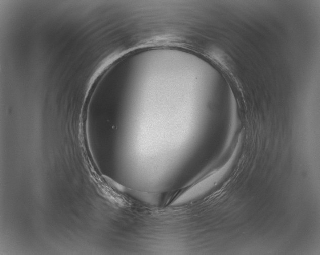 X0000052551336200507081559