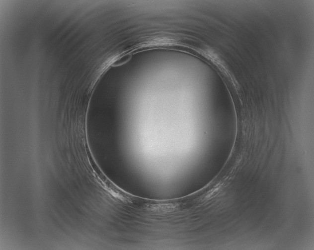 X0000052551337200507081559