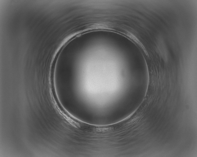 X0000052551339200507081559